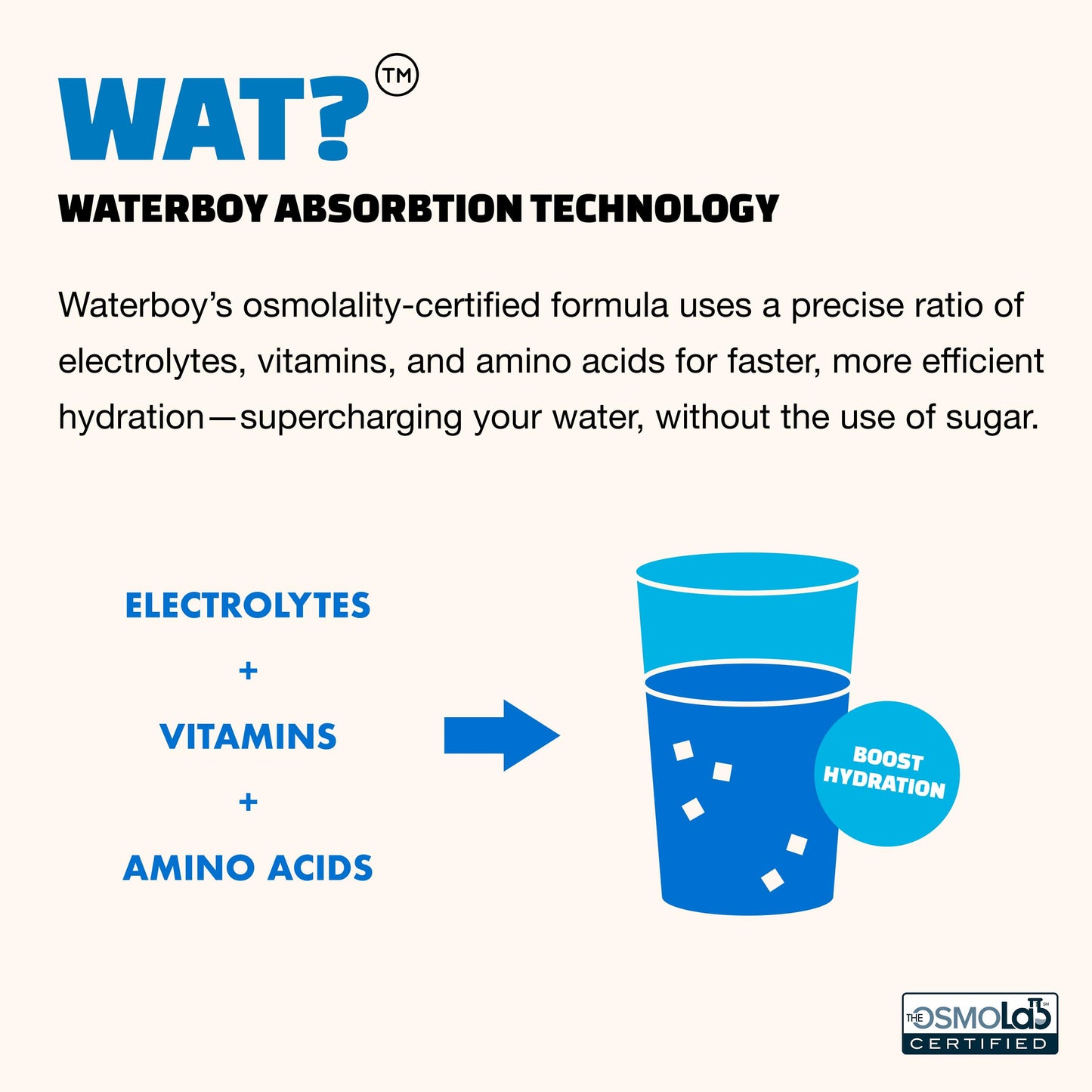 WaterBoy - Daily Hydration, Watermelon, Sugar Free Electrolytes Powder Drink Mix - 15ct Hydration Packets