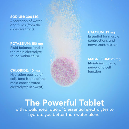 Nuun Sport + Caffeine Electrolyte Tablets – Dissolvable in Water, Variety Pack | 5 Essential Electrolytes for Hydration | 1g Sugar Drink Mix | Vegan, Non-GMO | 6 Pack (60 Total Servings)