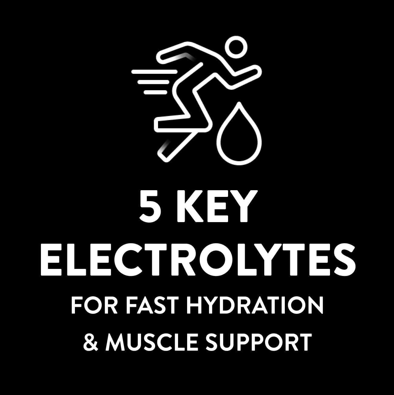 Pedialyte Sport Electrolyte Powder, Fast Hydration with 5 Key Electrolytes for Muscle Support Before, During, & After Exercise, 12 Lemon Lime & 12 Fruit Punch, 0.49-oz Packets (24 Count)