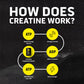 Ascent Clean Creatine Monohydrate Powder - 5G Per Serving, Creapure Creatine Supplement - Unflavored, 100 Servings