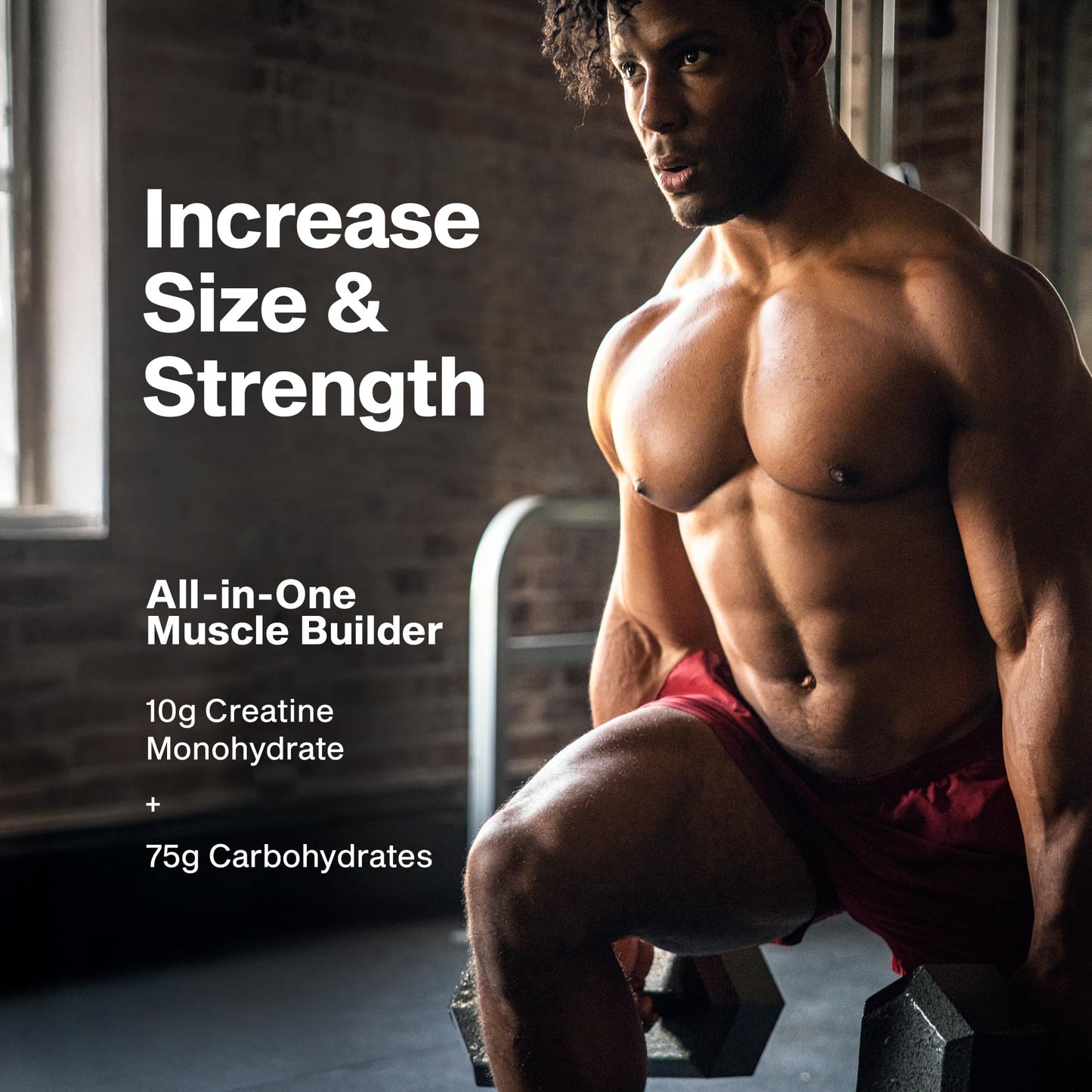 MuscleTech Creatine Monohydrate Powder Cell-Tech Creatine Post Workout Recovery Drink Muscle Builder For Men & Women Muscle Building Supplements Fruit Punch, 2.90 lbs (27 Serv)