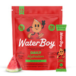 WaterBoy - Daily Hydration, Watermelon, Sugar Free Electrolytes Powder Drink Mix - 15ct Hydration Packets