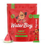 WaterBoy - Daily Hydration, Watermelon, Sugar Free Electrolytes Powder Drink Mix - 15ct Hydration Packets
